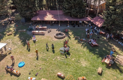 Almont Casa | Escape to Serenity: Pet-Friendly Mountain Haven by the Taylor River