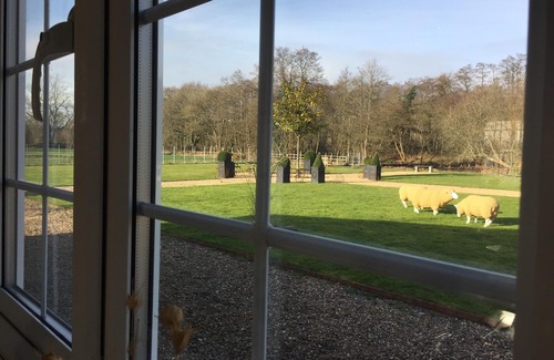 Worplesdon Cabaña | Escapar al país. Una casa rural aislada, bonita posición de jardín