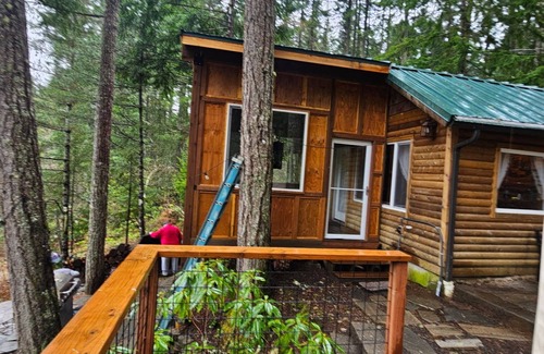 Mason County Cabina | Escape Outdoor Infrared Sauna Sunroom Game room Lakefront cabin Fireplace