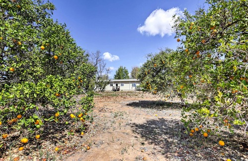 Escondido Cabaña | Escondido Vineyard Estate: Walk to Wineries!