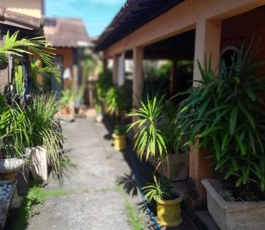 Tamoios Casa | Espaço clorofila
