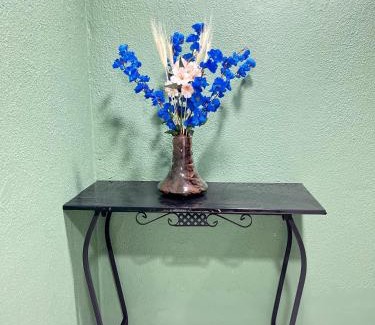 Gardenia Azul Apartamento | Espaço Zen 03