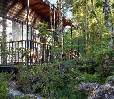 Puerto Montt Apartamento | Espacio bosque la quemada