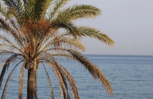 Fuengirola Casa | Espectacular casa en la playa
