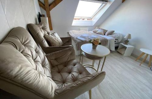 Mulhouse Apartamento | Esprit Beige - Joli Studio Salengro - Sauna & Sport club