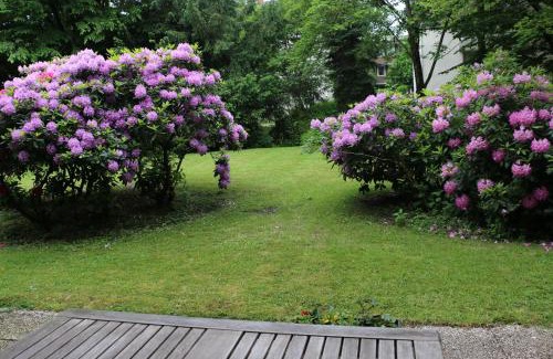 Suedviertel Apartamento | Essen City quiet flat with terrace and garden