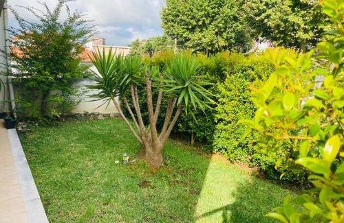 Arco Pintado Apartamento | ESSENCYAHOMECoimbra