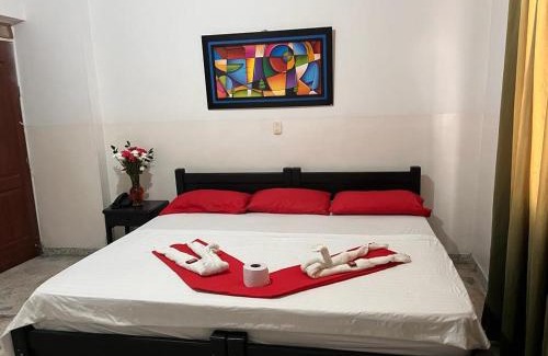 Ibague Hotel | estación plaza