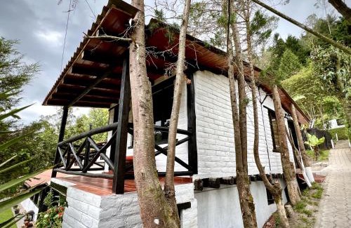Nono Otro | Estancia De La Campiña