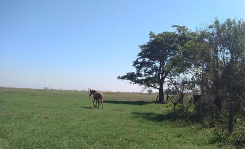 Paulinia Casa | Estancia Montagner