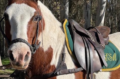 Partido de Monte Hotel | Estancia San Mateo