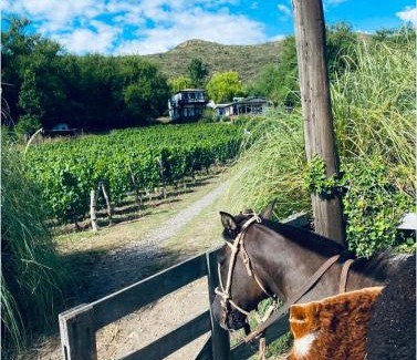 Cuyo Casa | Estancia San Pablo