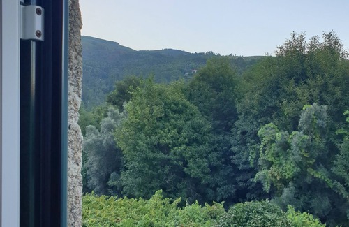 Bico Otro | Estate of Vinha Velha