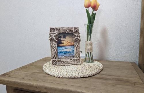San José del Cabo Apartamento | Estudio Balandra cerca del aeropuerto SJD