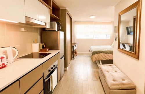 Downtown Santiago Apartamento | Estudio Santa Elvira | Home Office Laundry Wifi