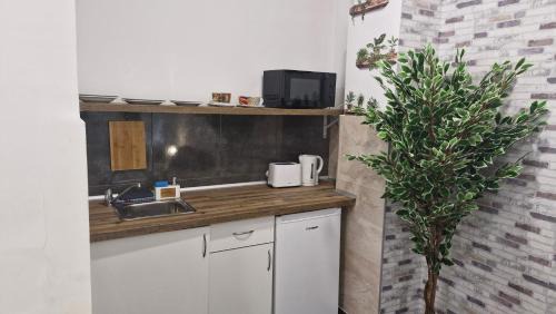 San Anton Apartamento | Estudios GLORIA