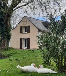 Allonnes Casa | etang de la bibardiere