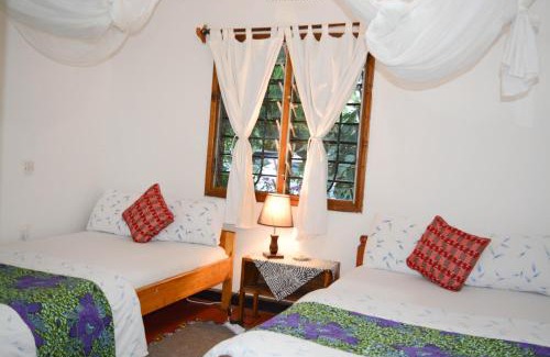 Arusha Cabina | Ethiopian restaurant and lodge