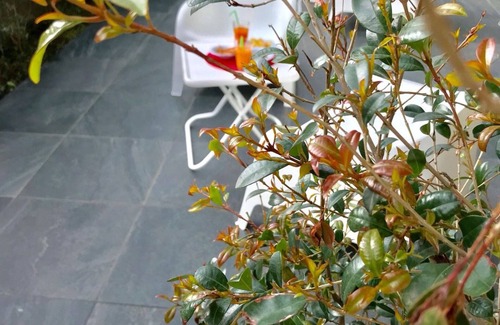 Santa Venerina Apartamento | Etna Holidays Home Sere
