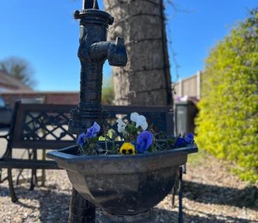 Skegness Complejo | Etna Laurels at the peaceful Cherry Lea Holiday Park and Fishing Lake