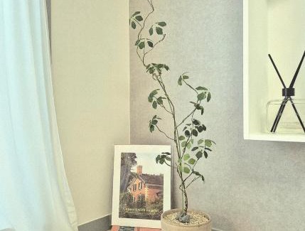 Yeongi-gun Apartamento | Eumm stay
