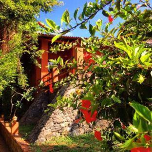 Tangalle Hotel | Eva Lanka Hotel - Beach & Wellness