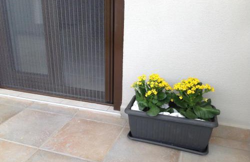 Pilalimata Apartamento | Eva Rooms
