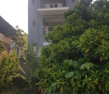 Efpalio Casa | Eva's apartments