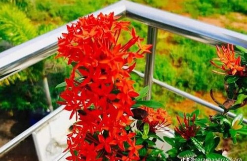 Trincomalee Hotel | Everest Hotel