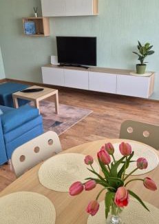 Valmiera Apartamento | Evergreen City Apartment