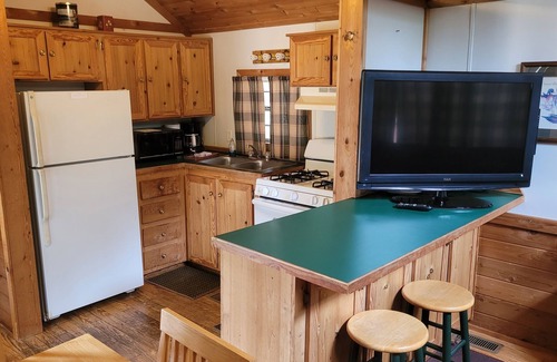 Thompsonville Cabina | Evergreen Cottage near Crystal Mtn