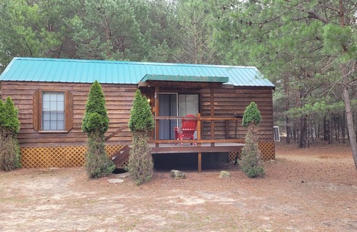 Thompsonville Cabina | Evergreen Cottage near Crystal Mtn