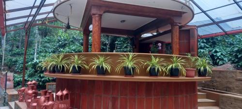 Nakur Sirangala Casa | Evergreen Emerald