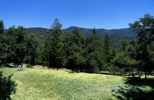Oakhurst Cabina | Evergreen Haus