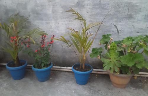 Almora Apartamento | EVERGREEN HOME STAY