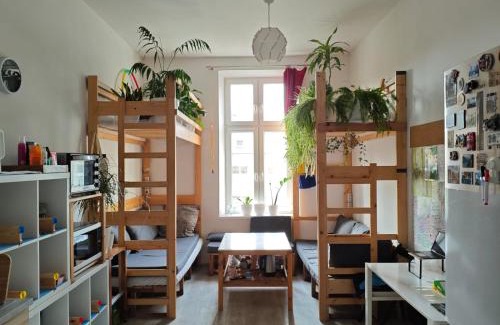 Stradom Hostal | Evergreen Hostel Krakow