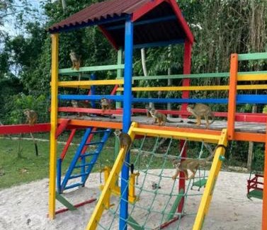 Maguari-Cajui Apartamento | Excelente apartamento COP 30 em condomínio