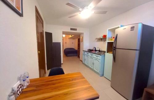 Chihuahua Apartamento | Excelente Ubicación Centro Histórico Planta Baja Equipado