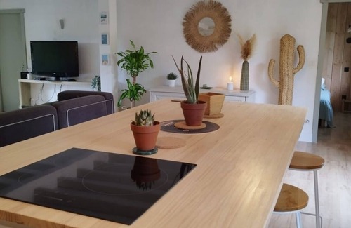 Messanges Casa | Exceptional promotion for the month of September magnificent villa landaise