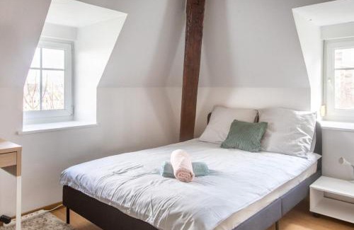 Mulhouse Apartamento | Exceptionnels Studio, Maison de Maître, Parking Gratuit sur Place, MULHOUSE CENTRE