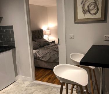 Newport Apartamento | Exclusive Modern decorated 1 Bedroom Detached Studio