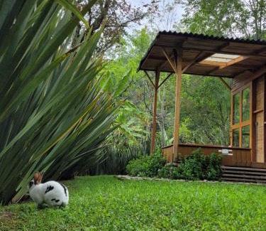 Salento Cabina | Exclusivo Cocora con Jacuzzi Salento Quindio