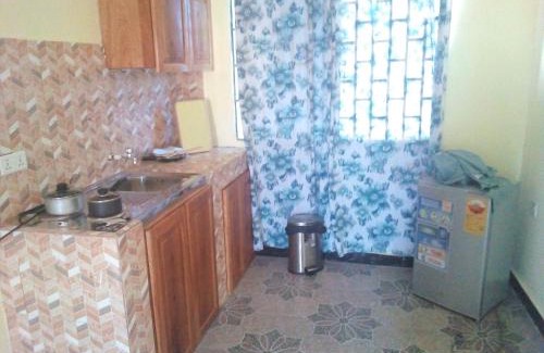Cape Coast Apartamento | Executive Apartment