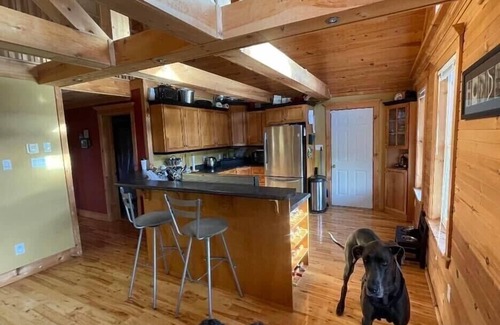 Brigus Junction Chalet De Esquí | Executive Chalet 30 Mins From City Life NOW WITH HOT TUB