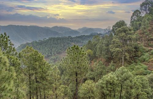 Dharampur Apartamento | Exotic Stays I 2bhk Forest View Kasauli l Serviced Apts I Best Seller I Vacations I Family Events I Sky Bonfire I Kasauli