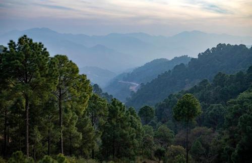 Dharampur Apartamento | Exotic Stays I The Suhana Suffer I Toy Train & Mountains View I Apartments I Excellent Service Of Year I Nature Treks I Kasauli