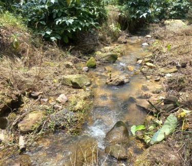 Sangameswarpet Casa | Experience being lost in wild