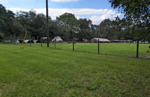 Putnam Hall Apartamento | Experience country life at a farm animal sanctuary, perfect for animal lovers!