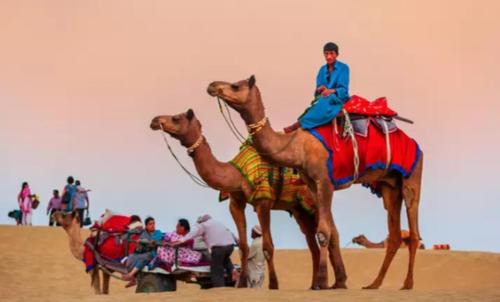 Kanoi Complejo | Experience desert resort