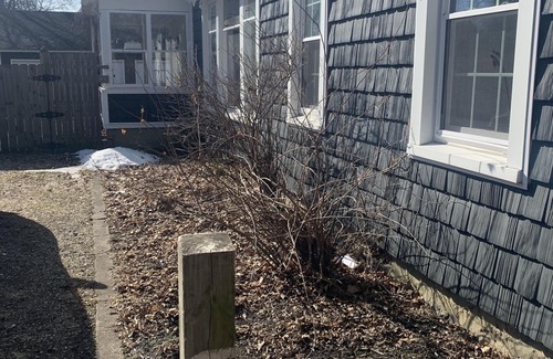 Tecumseh Casa | Experience Tecumseh charm, just a quick 27-min drive to speedway fun